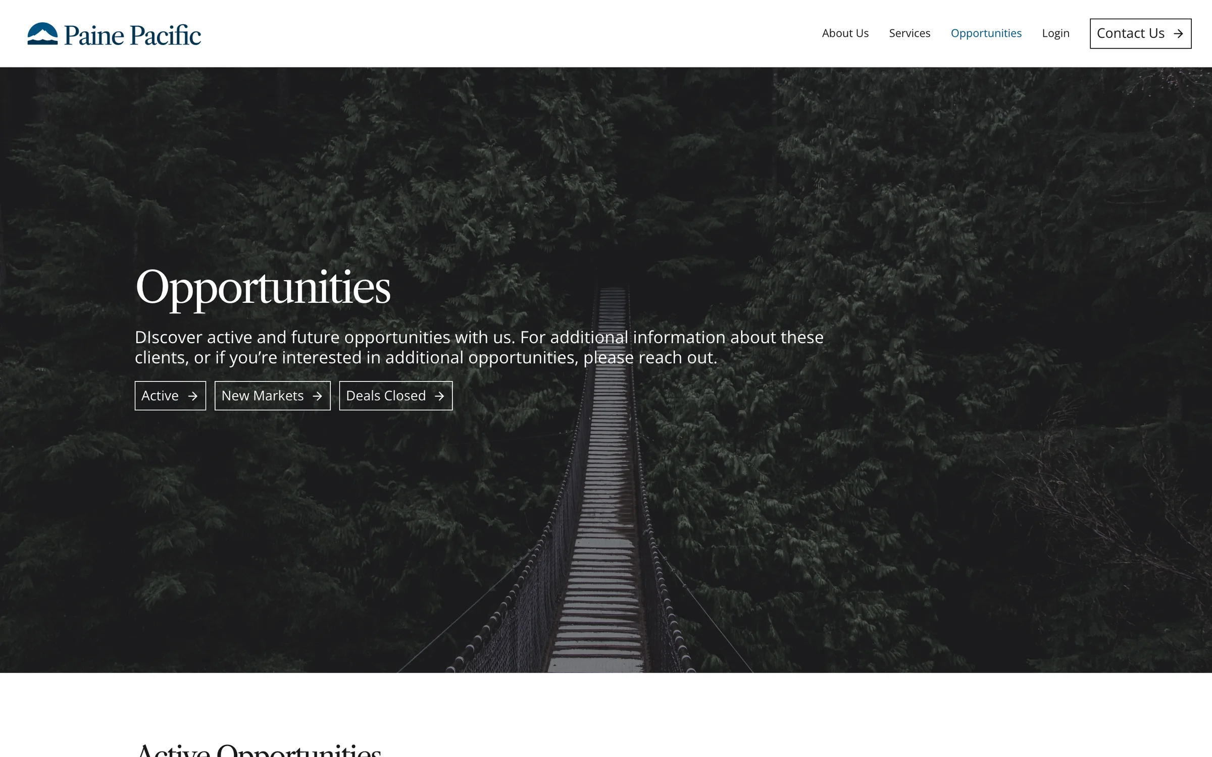 Opportunities header over a rope bridge in the forest